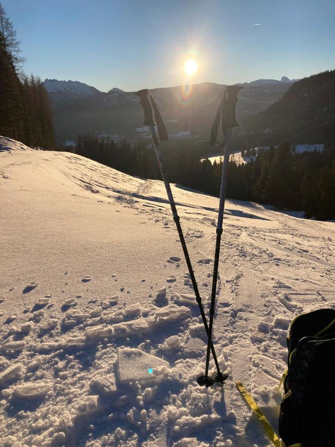 Appartement-Pension Familie Gewessler Bad Mitterndorf Bagian luar foto