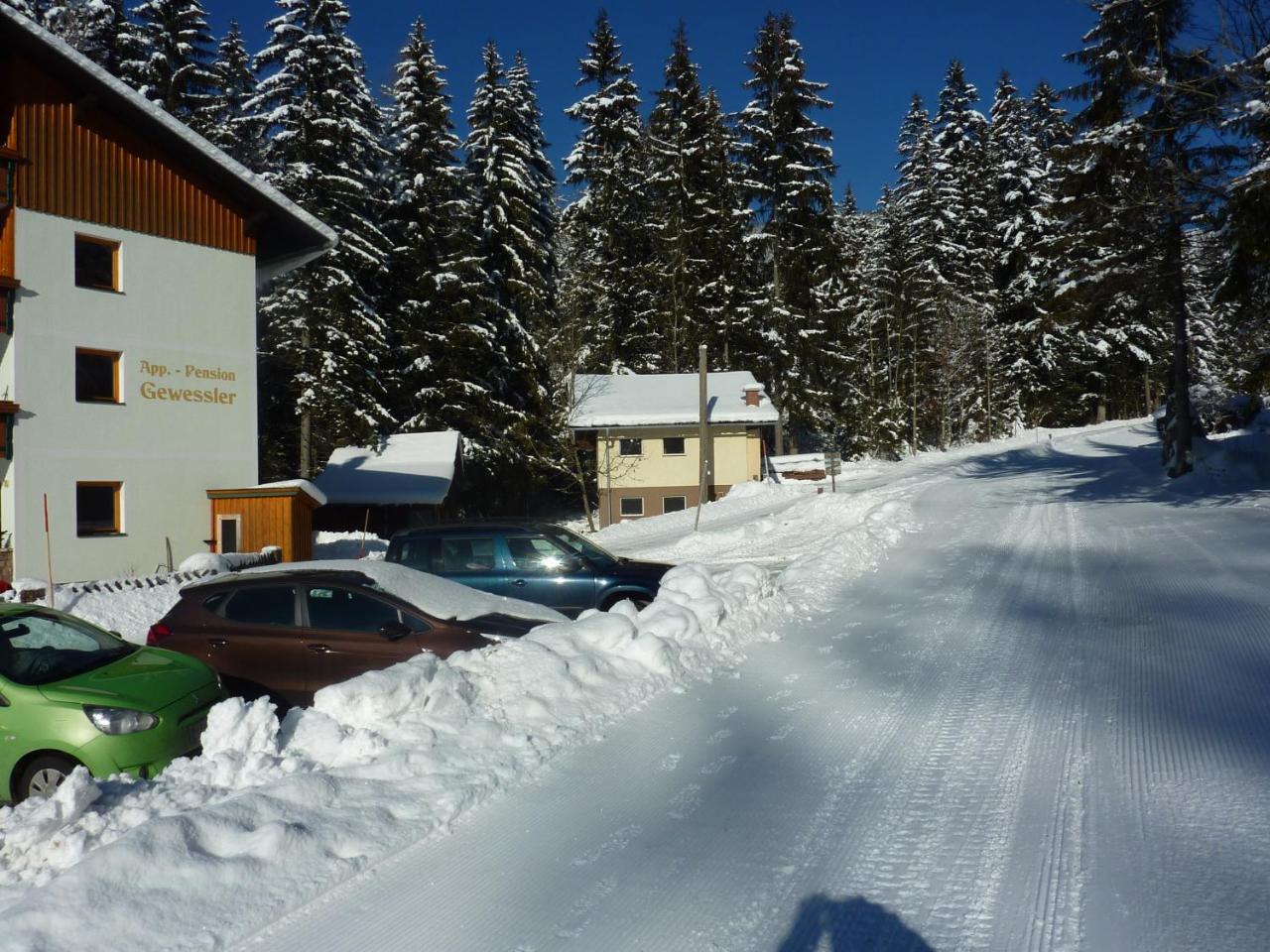 Appartement-Pension Familie Gewessler Bad Mitterndorf Bagian luar foto