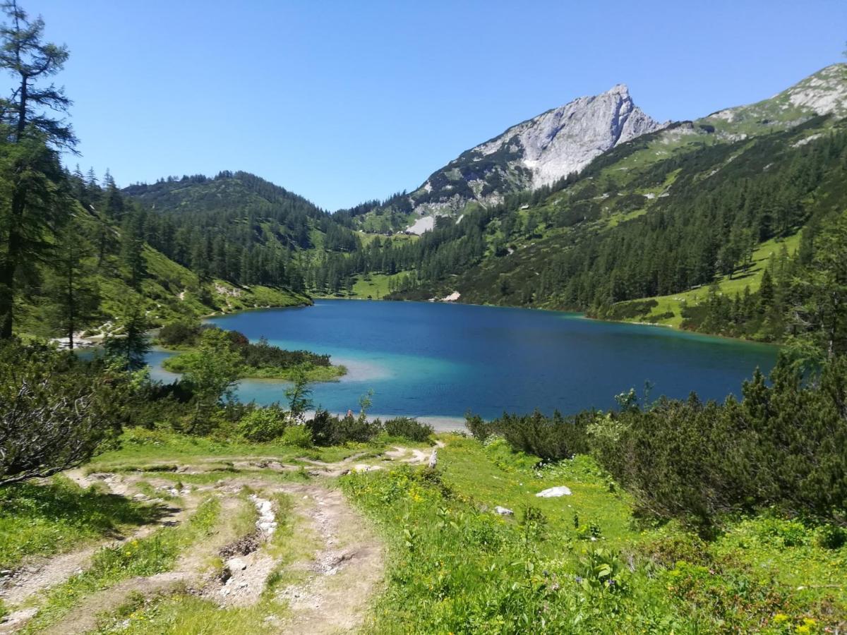 Appartement-Pension Familie Gewessler Bad Mitterndorf Bagian luar foto